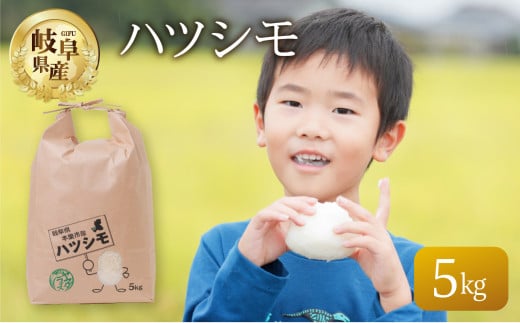 令和6年産 新米 ハツシモ 5kg 米 先行予約 こめ ごはん 白米 玄米 岐阜県産 本巣市 お米 精米 おにぎり 弁当 さっぱり 旨味 甘い 和食 寿司 岐阜県産 ヤマダライス 1400067 - 岐阜県本巣市