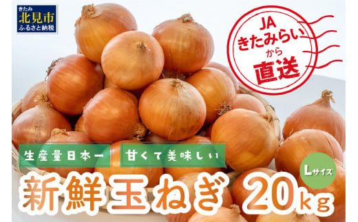 【予約：2024年10月中旬から順次発送】☆日本農業賞大賞受賞☆JAきたみらいから直送する甘くて美味しい新鮮玉ねぎ 20kg Lサイズ ( たまねぎ 野菜 北海道 玉葱 )【104-0008-2024】