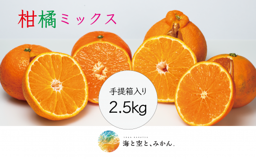 大場農園「柑橘MIXセット」2.5kg 手提げ箱入