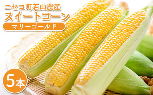 ニセコ町 若山農産 スイートコーン とうもろこし トウモロコシ 5本 マリーゴールド 野菜 コーン  ニセコ町産 農家直送 新鮮 やさい 数量限定 万能野菜 ベジタブル 8,000円 オンライン 申請 ふるさと納税 北海道 ニセコ にせこ 【40004】 1416649 - 北海道ニセコ町