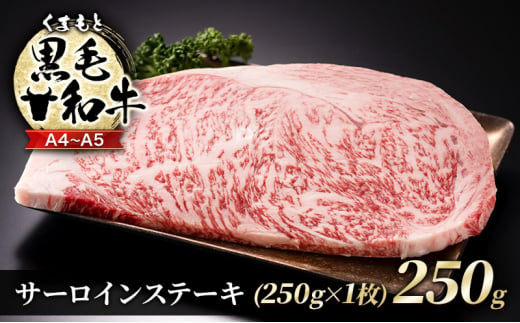 牛肉 A4～A5 くまもと 黒毛和牛 サーロイン ステーキ 250g (250g×1枚) 肉 お肉 ※配送不可：離島