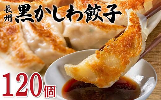 長州黒かしわ餃子 120個入り 手作り 生餃子 餃子 国産野菜  冷凍 化学調味料不使用 化学調味料無添加 らいちの餃子 黒かしわ 長州黒かしわ F6L-953 1412095 - 山口県山陽小野田市