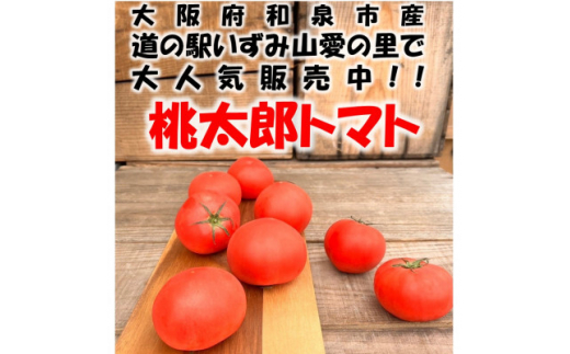 桃太郎トマト 約2kg(10～12玉) 大阪府　和泉市　道の駅いずみ山愛の里【1525134】 1411535 - 大阪府和泉市