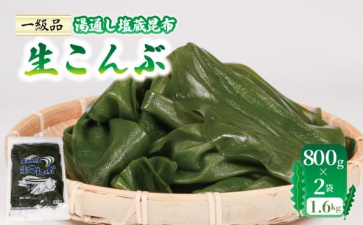 塩蔵 生こんぶ 2袋（1.6kg）昆布 海藻 三陸 本多商店 10000円 1万円 岩手県 大船渡市