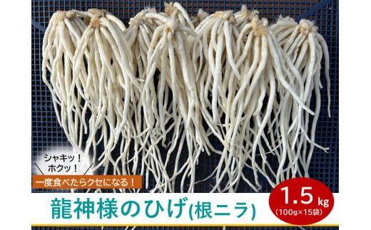 【 期間限定 (2025年3月10日まで受付)  】龍神様のひげ  ( 根ニラ )  1,500g (100g×15袋) ／ 株式会社 すわファーム 野菜 香味野菜 根菜 無農薬 高原野菜【91-02】 1403520 - 長野県諏訪市