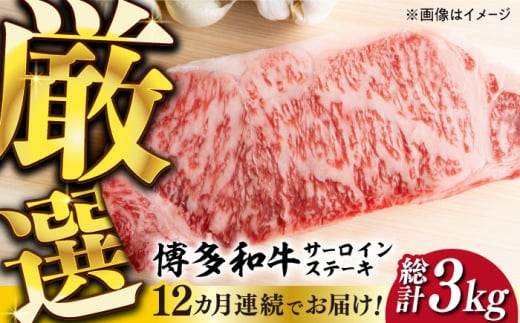 【全12回定期便】【厳選部位使用！】博多和牛A5サーロインステーキ250g×1枚《築上町》【株式会社MEAT PLUS】 牛肉 肉 [ABBP047] 132000円 