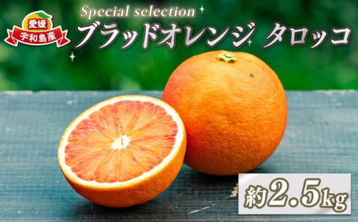 ブラッドオレンジ タロッコ 先行予約 Special selection 2.5kg コルレオファーム 果物 フルーツ ブラッド オレンジ 柑橘 みかん mikan 農家直送 産地直送 数量限定 国産 愛媛 宇和島 B010-145005 1411819 - 愛媛県宇和島市