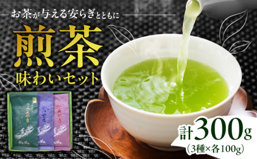 亀山茶・深蒸し煎茶・煎茶味わいセット 亀山市/三重茶農業協同組合 伊勢茶 セット 送料無料 [AMAG006] 331822 - 三重県亀山市