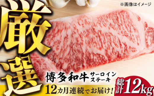 【全12回定期便】【溢れる肉汁と濃厚な旨味】博多和牛サーロイン1kg（250g×4枚）《築上町》【株式会社MEAT PLUS】 牛肉 肉 [ABBP053] 480000円 48万円