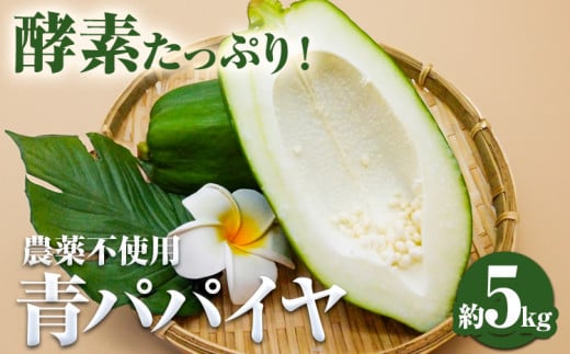 パパイヤ 青パパイヤ パパイア 野菜 健康野菜 5kg ゆいやわす《9月下旬-12月中旬頃出荷》熊本県 葦北郡 津奈木町 国産 人気 お試し カレー お味噌汁 炒め物 サラダ に 酵素 食物繊維 たっぷり