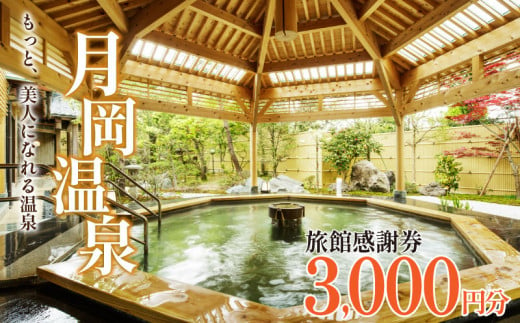 旅行券 月岡温泉 利用券 感謝券 3,000円分 ( 1,000円 × 3枚 ) 新潟県 温泉 旅行 宿泊 宿泊チケット 旅行チケット チケット 体験 トラベル チケット 観る 遊ぶ 食べる 泊まる 金券 風呂 ホテル 旅館 老舗 観光 観光地 国内旅行 旅行券 宿泊券 利用券 ゴルフ 国内 新潟 新発田 A01