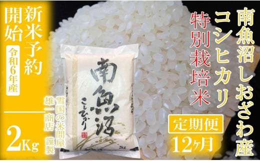 【新米予約・令和6年産】定期便12ヶ月：精米2Kg ※特別栽培※生産者限定 南魚沼しおざわ産コシヒカリ 1400499 - 新潟県南魚沼市