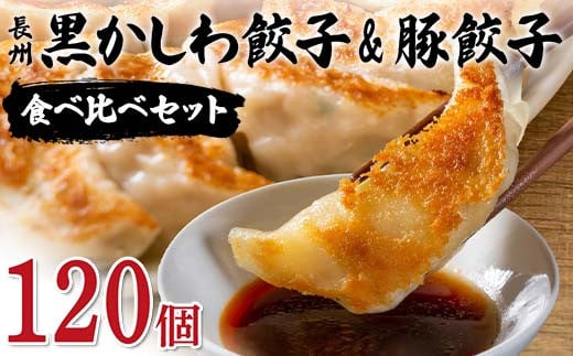 長州黒かしわ餃子＆豚餃子 食べ比べセット 120個入り 手作り 生餃子 餃子 国産野菜  冷凍 化学調味料不使用 化学調味料無添加 らいちの餃子 黒かしわ 長州黒かしわ F6L-956 1412098 - 山口県山陽小野田市