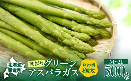 【先行受付】令和7年産 朝採りグリーンアスパラ   500g＜ 川越農場 ＞野菜 春 夏 北海道アスパラ 雨竜町産 パスタ サラダ スープ 旬 やわ旨 1604684 - 北海道雨竜町