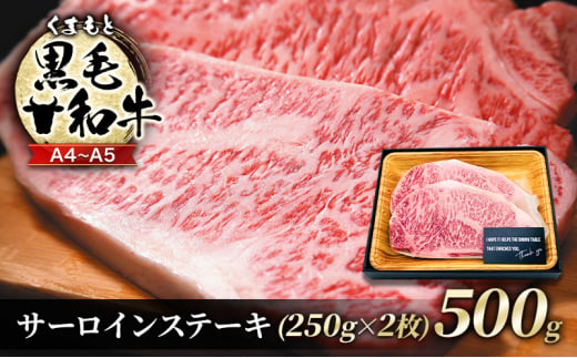 牛肉 A4～A5 くまもと 黒毛和牛 サーロイン ステーキ セット 500g (250g×2枚) 肉 お肉 ※配送不可：離島