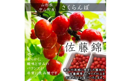 山形県中山町のふるさと納税 【令和7年産先行受付】山形県中山町産 さくらんぼ＜佐藤錦＞特秀品　350g×2P約700g　Lサイズ以上