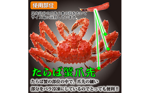 ひとくちサイズ お刺身OK！生冷凍本たらば蟹 爪先ポーション【500g】むき身【北海道産】