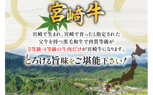 牛肉 宮崎牛 4種 食べ比べ スライス 計1.2kg [ミヤチク 宮崎県 美郷町 31au0053] 黒毛和牛 冷凍 スライス 小分け 個包装  牛肩ロース 牛ウデ 牛モモ モモ 牛バラ バラ