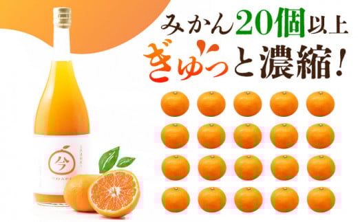 【“幻のみかん”20個以上】今村みかんジュース 720ml×2本【今村みかんジュースの会】 [HBI001] みかんジュース