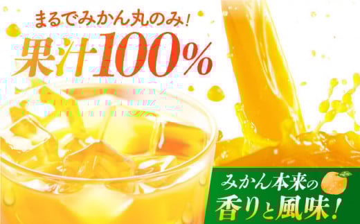 【“幻のみかん”20個以上】今村みかんジュース 720ml×2本【今村みかんジュースの会】 [HBI001] みかんジュース