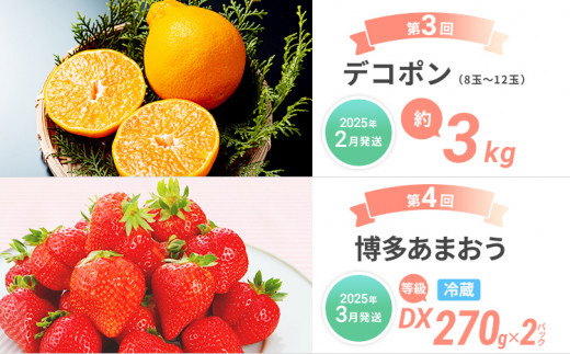 福岡県古賀市のふるさと納税 定期便 果物定期便A 4回発送 みかん ネーブル デコポン 博多あまおう 定期発送 果物 くだもの フルーツ 柑橘 イチゴ 送料無料 【2024年12月～2025年3月発送】