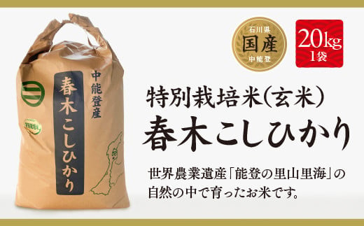 石川県中能登町のふるさと納税 米 特別栽培米 春木 コシヒカリ 玄米 20kg [農業組合法人能登やまびこ 石川県 中能登町 27af0001] こしひかり ご飯 ごはん コメ こめ