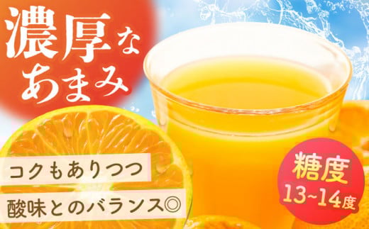 【“幻のみかん”20個以上】今村みかんジュース 720ml×2本【今村みかんジュースの会】 [HBI001] みかんジュース