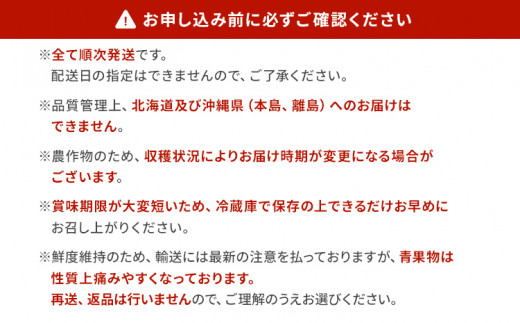 福岡県古賀市のふるさと納税 定期便 果物定期便A 4回発送 みかん ネーブル デコポン 博多あまおう 定期発送 果物 くだもの フルーツ 柑橘 イチゴ 送料無料 【2024年12月～2025年3月発送】