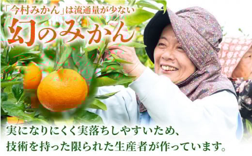 【“幻のみかん”20個以上】今村みかんジュース 720ml×2本【今村みかんジュースの会】 [HBI001] みかんジュース
