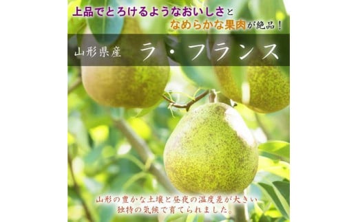 山形県中山町のふるさと納税 【令和7年産先行予約】山形県中山町の至高！山形県中山町厳選フルーツ定期便　全7回