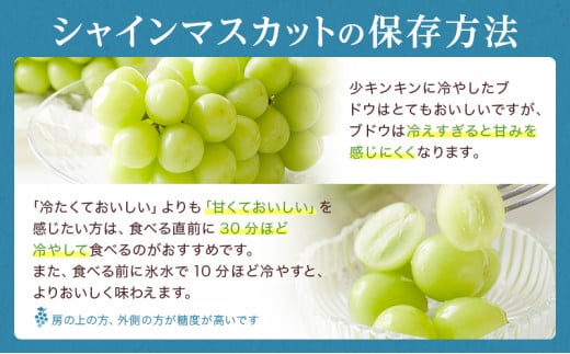 ぶどう 2024年 先行予約 シャイン マスカット 晴王 5房～10房 約5kg 8月下旬～10月下旬発送 ブドウ 葡萄 岡山県産 国産 フルーツ  果物 ギフト - 岡山県里庄町｜ふるさとチョイス - ふるさと納税サイト