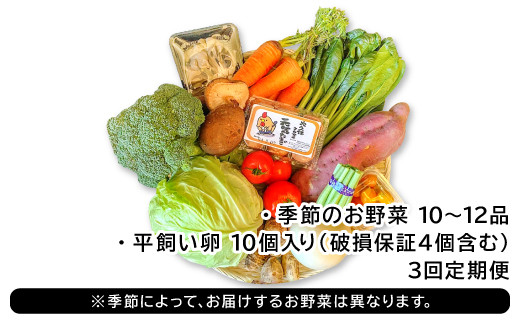 ※季節によってお届けするお野菜は異なります。