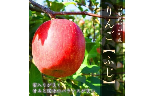 山形県中山町のふるさと納税 【令和7年産先行予約】山形県中山町の至高！山形県中山町厳選フルーツ定期便　全7回