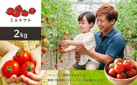 ミニトマト 2kg ｜ やさい 野菜 トマト ミニトマト  2kg 熊本県 玉名市											