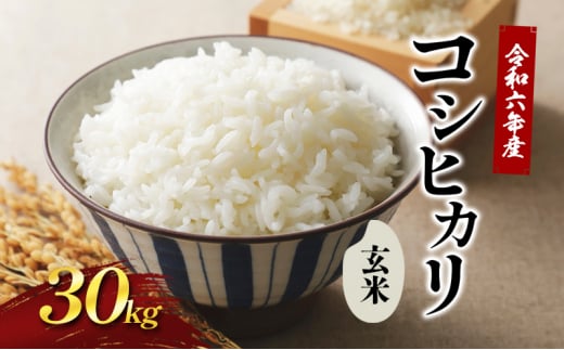 栃木県産 新米 コシヒカリ 30キロ 一等米 令和6年度 玄米 うか