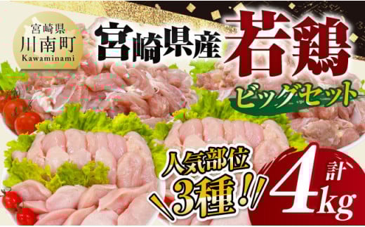 【 小分け 】 宮崎県産 若鶏 4kg ビッグ セット 【 もも むね ささみ セット 鶏肉 とり肉 ごはん 料理 大容量 】