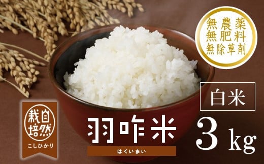 [A016] 【無農薬】【白米】能登のこだわり自然栽培こしひかり『羽咋米』 ３kg