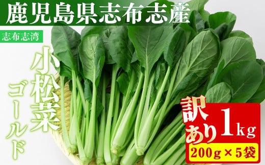 [期間限定・訳あり]志布志湾小松菜ゴールド(計1kg 200g×5袋) 小松菜 こまつな こまつ菜 野菜 やさい 小分け パスタ ナムル スムージー ラーメン 炊き込みご飯 期間限定 訳あり 訳アリ 鹿児島県産 志布志 グローバルGAP