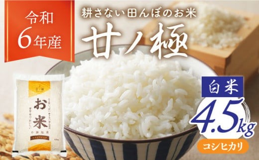 ＼安心・安全・おいしい／【令和6年産 新米】白米「廿ノ極」（4.5kg）【有限会社ええのお】コシヒカリ [TCI002] 823063 - 岐阜県多治見市