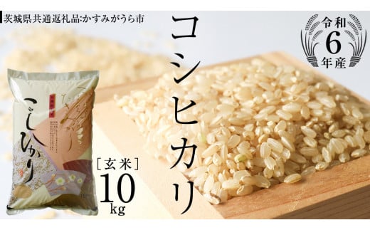 【 令和6年産 】 コシヒカリ 玄米 10kg ( 10kg × 1袋 ) (茨城県共通返礼品 かすみがうら市) 米 ごはん もっちり 甘い コメ お米 玄米 [EX004sa]