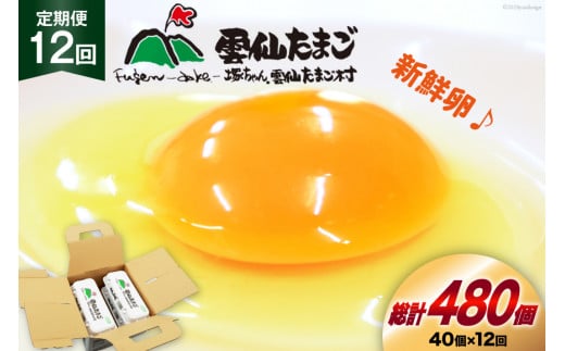 12回 定期便 雲仙たまご 40個 (10個入り×4パック) (37個+割れ補償3個入り) [ 卵 たまご 生卵 鶏卵 赤卵 玉子 新鮮 塚ちゃん雲仙たまご村 長崎県 島原市 ]