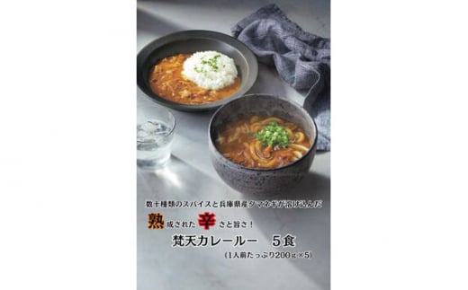 No.390 【5食】梵天冷凍カレールーセット ／ 名物カレー スパイス 自家製麺 地元産野菜 兵庫県 1404908 - 兵庫県川西市