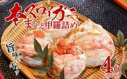 【新発田ブランド】本ズワイガニ 夫婦 セット 蟹 かに カニ ずわいがに ズワイガニ ずわい蟹 ズワイ蟹 ずわい ズワイ 蟹 年末 お正月 贈答 ギフト プレゼント 新潟県 新発田市　B10  866356 - 新潟県新発田市