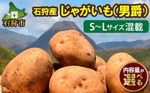 [2024年度産:8月下旬〜発送]北海道 石狩産じゃがいも(男爵)S〜Lサイズ混載(5kg)(10kg)|ふるさと納税 北海道 石狩市 野菜 ジャガイモ 薯 芋 いも お芋 じゃが 5キロ 10キロ たっぷり ずっしり 重い まとめ買い 一括 カレー 根菜 スープカレー ポテト 秋野菜 秋 旬野菜 人気 おいしい