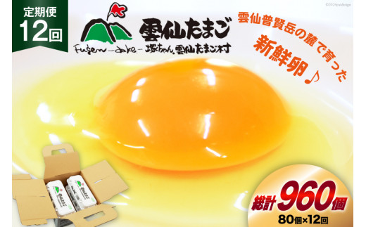 BI036 12回 定期便 雲仙たまごLサイズ  80個 (10個入り×8パック)(75個＋割れ補償5個入り) [ 卵 たまご 生卵 鶏卵 赤卵 玉子 新鮮 塚ちゃん雲仙たまご村 長崎県 島原市 ]
