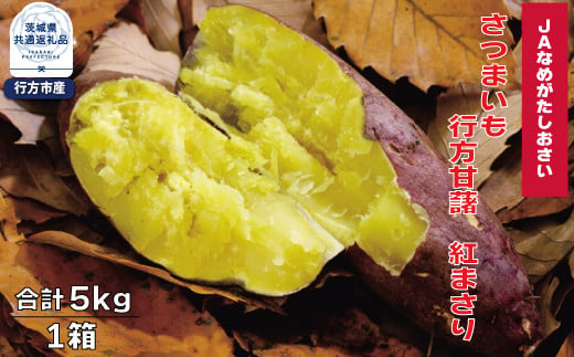 【先行予約】さつまいも　行方甘藷　紅まさり　5kg（茨城県共通返礼品・行方市産） 1450256 - 茨城県高萩市