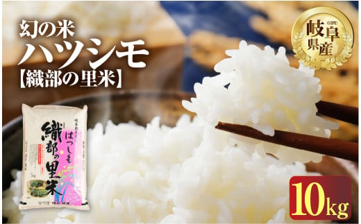 令和7年産 新米 ハツシモ 10kg ( 5kg × 2袋 )  幻の 米 こめ ごはん 白米 岐阜県産 本巣市 お米 精米 おにぎり 弁当 【織部の里米(R)】寿司 おすすめ もとすファーム 先行予約 1095395 - 岐阜県本巣市