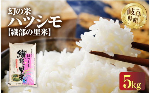 令和6年産 新米 ハツシモ 5kg 幻の 米 こめ ごはん 白米 岐阜県産 本巣市 お米  精米 おにぎり 弁当 【織部の里米(R)】寿司 おすすめ もとすファーム 先行予約 1095394 - 岐阜県本巣市