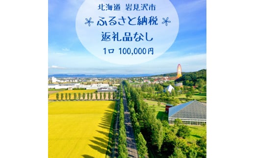 【返礼品なし】岩見沢市 寄附のみ応援 100,000円【応援寄附】 1483995 - 北海道岩見沢市