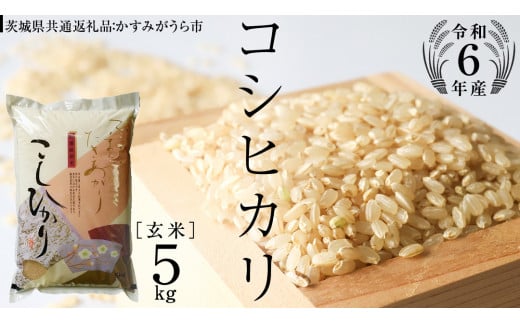 【 令和6年産 】 コシヒカリ 玄米 5kg ( 5kg × 1袋 ) (茨城県共通返礼品 かすみがうら市) 米 ごはん もっちり 甘い コメ お米 玄米 [EX003sa]